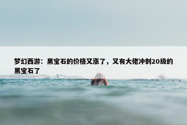 梦幻西游：黑宝石的价格又涨了，又有大佬冲刺20级的黑宝石了