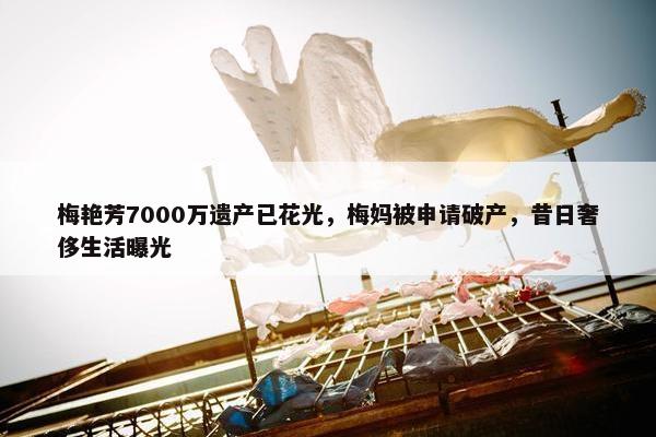 梅艳芳7000万遗产已花光，梅妈被申请破产，昔日奢侈生活曝光