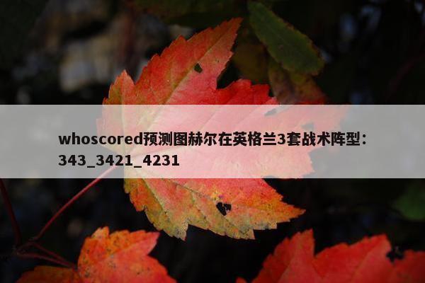 whoscored预测图赫尔在英格兰3套战术阵型：343_3421_4231