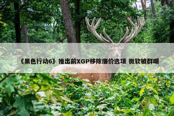 《黑色行动6》推出前XGP移除廉价选项 微软被群嘲