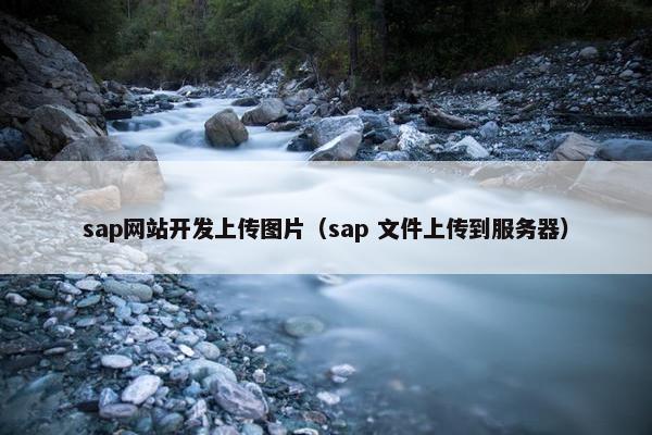 sap网站开发上传图片（sap 文件上传到服务器）