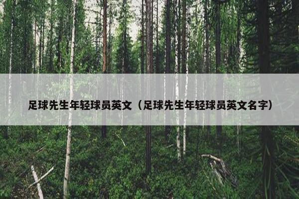 足球先生年轻球员英文（足球先生年轻球员英文名字）