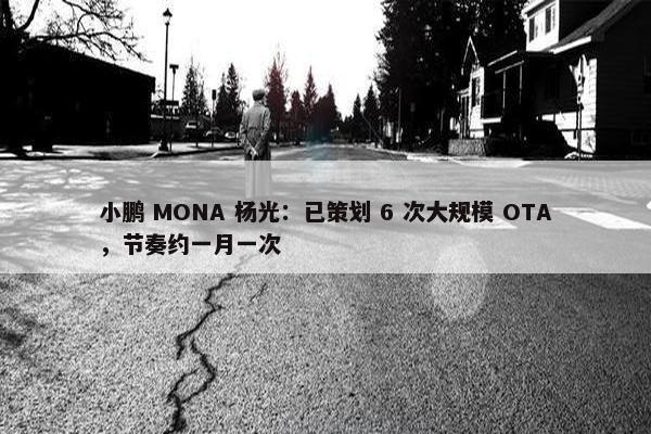 小鹏 MONA 杨光：已策划 6 次大规模 OTA，节奏约一月一次