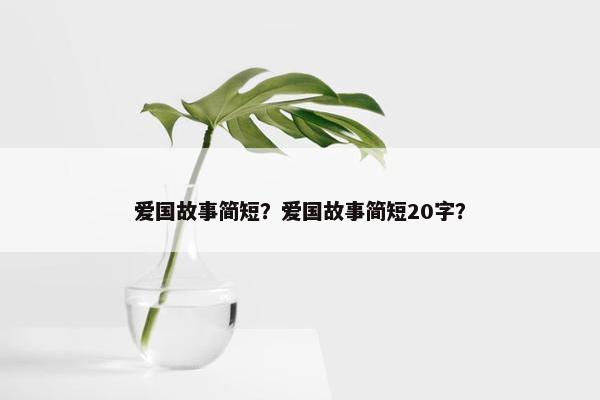 爱国故事简短？爱国故事简短20字？