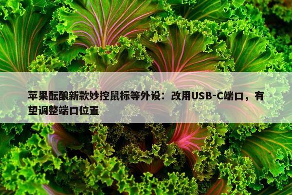 苹果酝酿新款妙控鼠标等外设：改用USB-C端口，有望调整端口位置