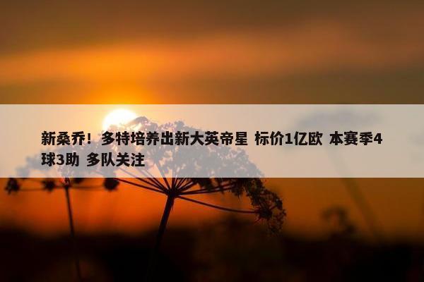 新桑乔！多特培养出新大英帝星 标价1亿欧 本赛季4球3助 多队关注