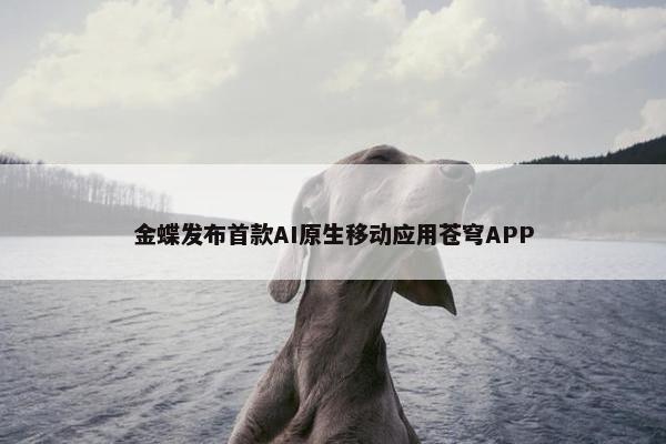 金蝶发布首款AI原生移动应用苍穹APP