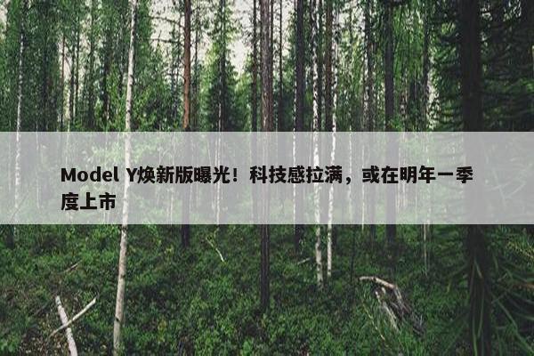 Model Y焕新版曝光！科技感拉满，或在明年一季度上市