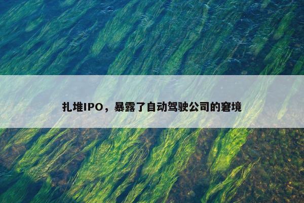 扎堆IPO，暴露了自动驾驶公司的窘境