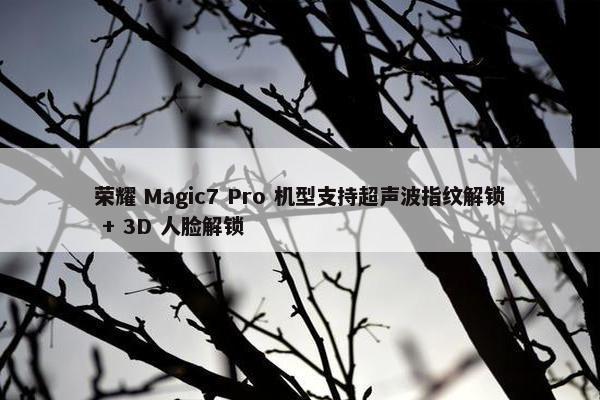 荣耀 Magic7 Pro 机型支持超声波指纹解锁 + 3D 人脸解锁