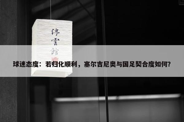 球迷态度：若归化顺利，塞尔吉尼奥与国足契合度如何？