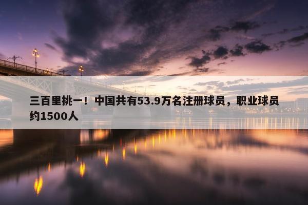 三百里挑一！中国共有53.9万名注册球员，职业球员约1500人