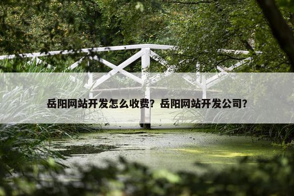 岳阳网站开发怎么收费？岳阳网站开发公司？