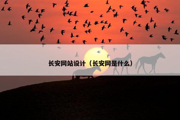 长安网站设计（长安网是什么）