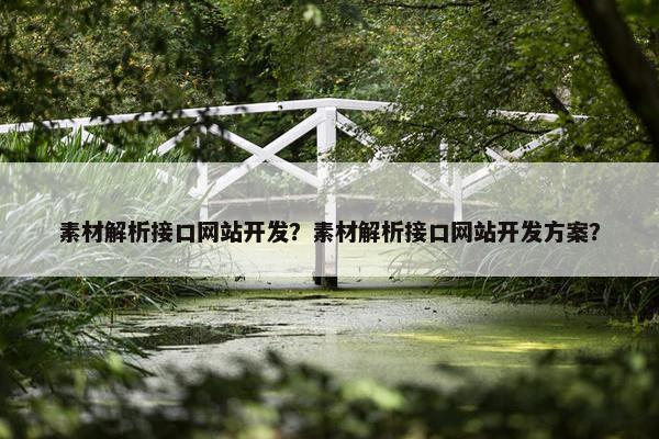 素材解析接口网站开发？素材解析接口网站开发方案？