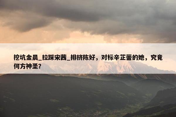 挖坑金晨_拉踩宋茜_排挤陈好，对标辛芷蕾的她，究竟何方神圣？