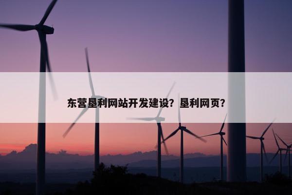 东营垦利网站开发建设？垦利网页？