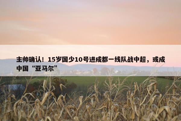 主帅确认！15岁国少10号进成都一线队战中超，或成中国“亚马尔”