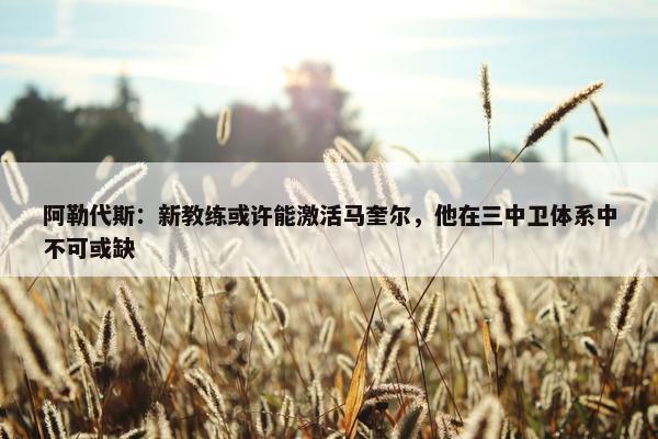 阿勒代斯：新教练或许能激活马奎尔，他在三中卫体系中不可或缺