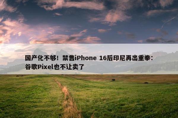 国产化不够！禁售iPhone 16后印尼再出重拳：谷歌Pixel也不让卖了