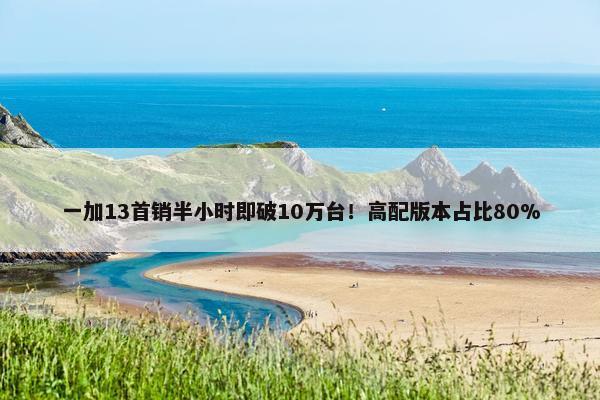 一加13首销半小时即破10万台！高配版本占比80%