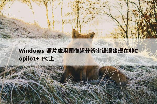 Windows 照片应用图像超分辨率错误出现在非Copilot+ PC上