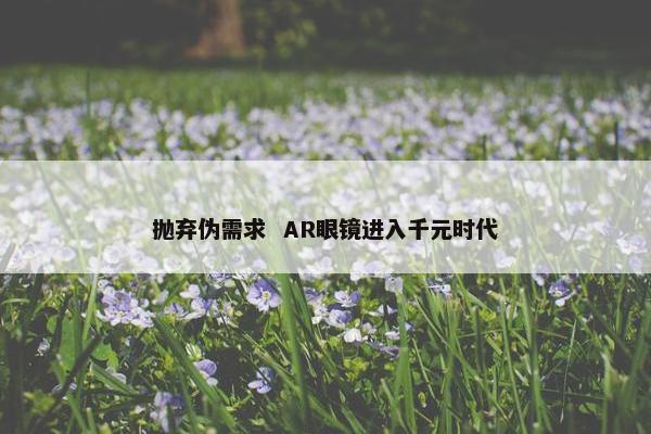 抛弃伪需求  AR眼镜进入千元时代