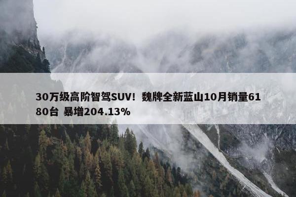 30万级高阶智驾SUV！魏牌全新蓝山10月销量6180台 暴增204.13%