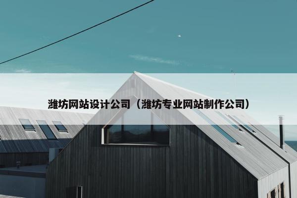 潍坊网站设计公司（潍坊专业网站制作公司）