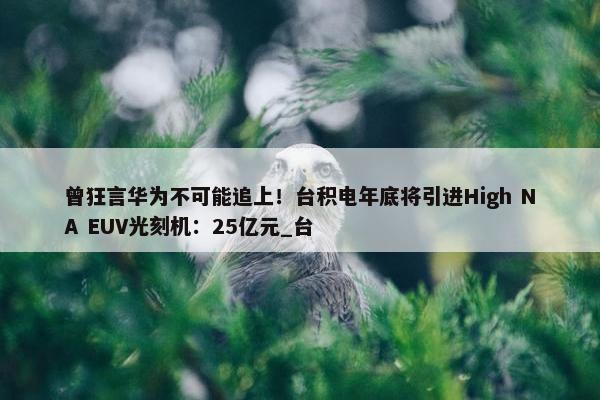 曾狂言华为不可能追上！台积电年底将引进High NA EUV光刻机：25亿元_台