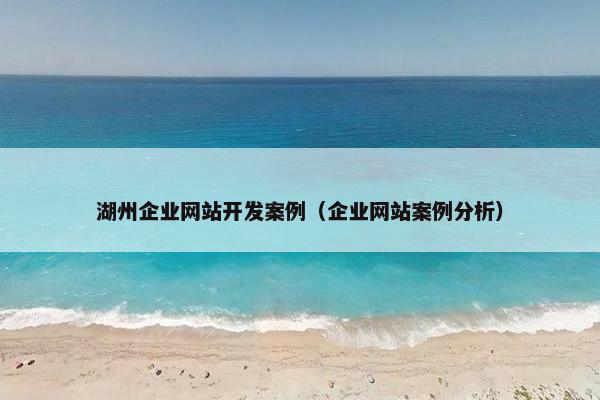 湖州企业网站开发案例（企业网站案例分析）