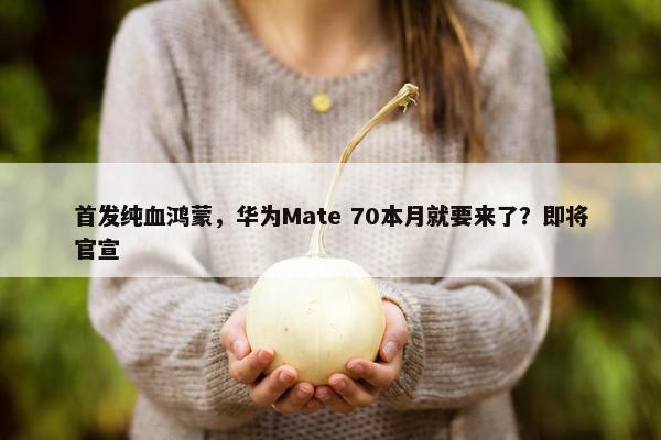 首发纯血鸿蒙，华为Mate 70本月就要来了？即将官宣