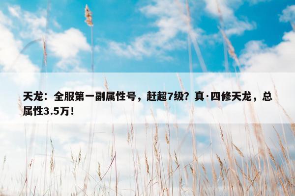 天龙：全服第一副属性号，赶超7级？真·四修天龙，总属性3.5万！