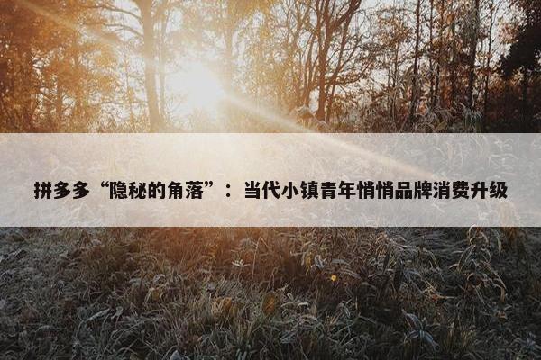 拼多多“隐秘的角落”：当代小镇青年悄悄品牌消费升级