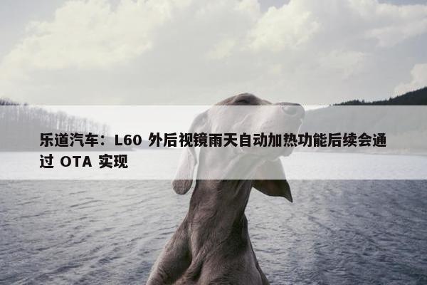 乐道汽车：L60 外后视镜雨天自动加热功能后续会通过 OTA 实现