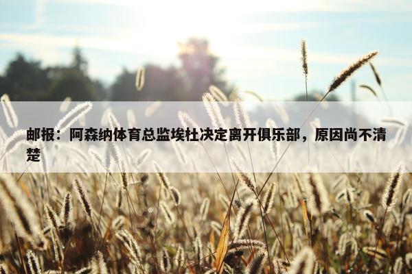 邮报：阿森纳体育总监埃杜决定离开俱乐部，原因尚不清楚