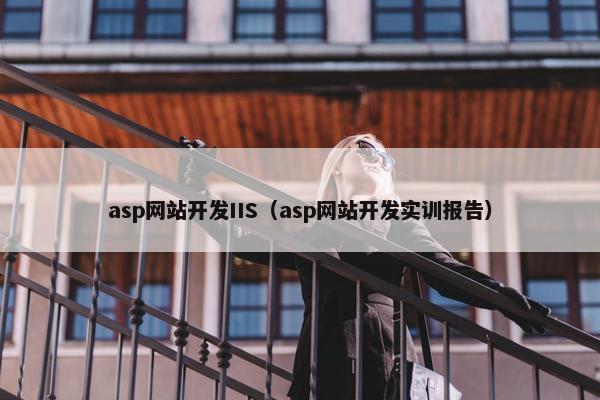 asp网站开发IIS（asp网站开发实训报告）