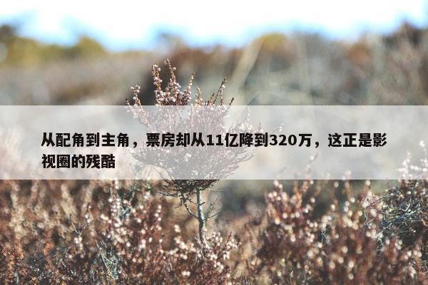 从配角到主角，票房却从11亿降到320万，这正是影视圈的残酷