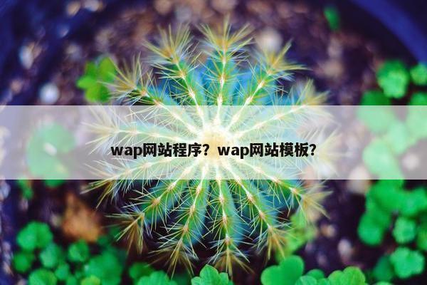 wap网站程序？wap网站模板？