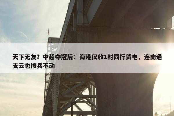 天下无友？中超夺冠后：海港仅收1封同行贺电，连南通支云也按兵不动