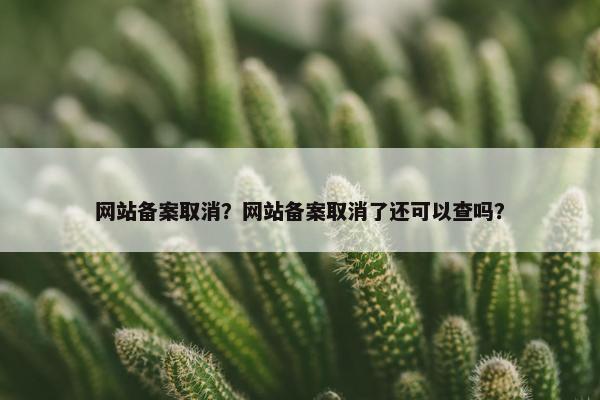 网站备案取消？网站备案取消了还可以查吗？