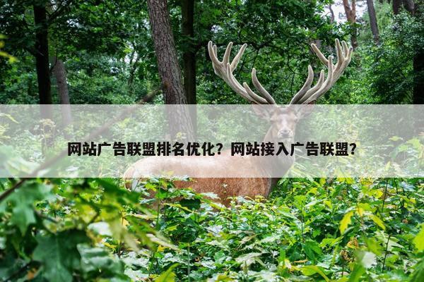 网站广告联盟排名优化？网站接入广告联盟？