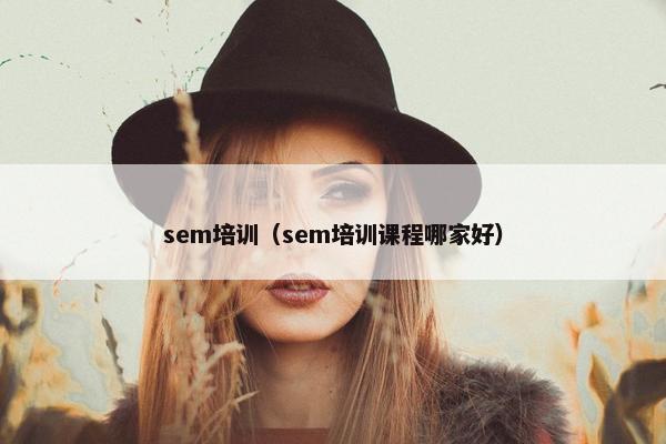 sem培训（sem培训课程哪家好）