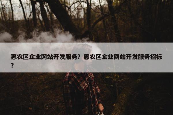 惠农区企业网站开发服务？惠农区企业网站开发服务招标？