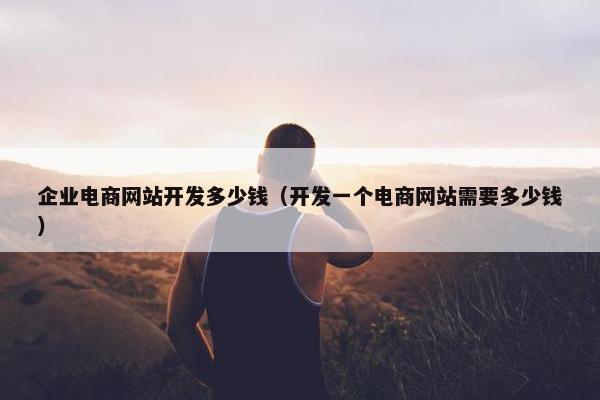 企业电商网站开发多少钱（开发一个电商网站需要多少钱）