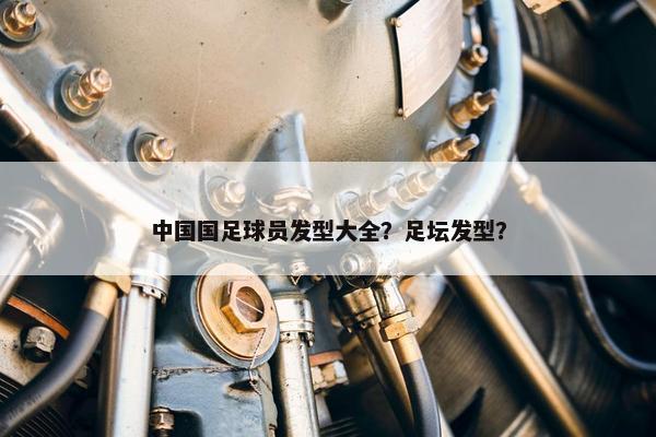 中国国足球员发型大全？足坛发型？