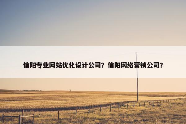 信阳专业网站优化设计公司？信阳网络营销公司？