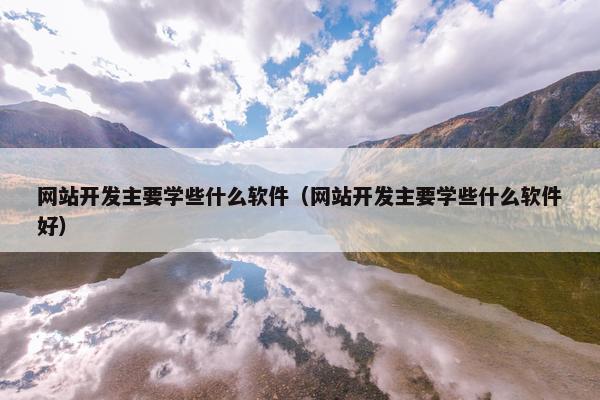 网站开发主要学些什么软件（网站开发主要学些什么软件好）