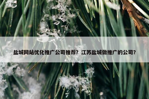 盐城网站优化推广公司推荐？江苏盐城做推广的公司？