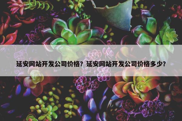 延安网站开发公司价格？延安网站开发公司价格多少？